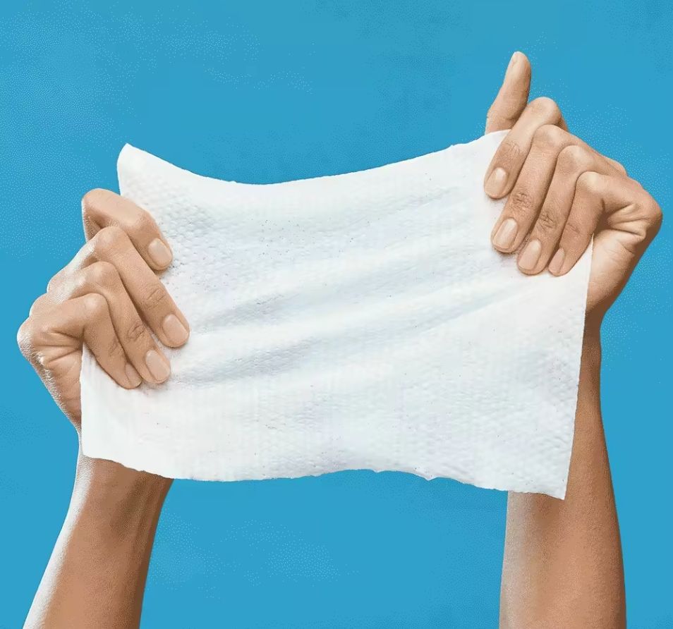 Auto Car Scent Protectant Wipes Fresh and Fragrant Car Wipes Car Interior Cleaning Wet Wipes