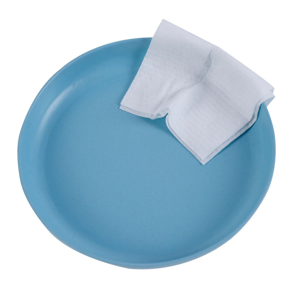 Organic Wet Wipes High Quality Custom Size Wholesale Personal Wet Wipes Biodegradable Cleaning Wipes