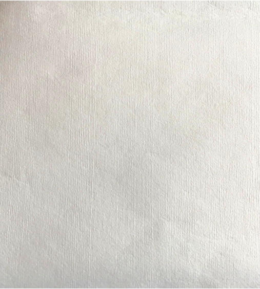 Spunlace Woodpulp/PET