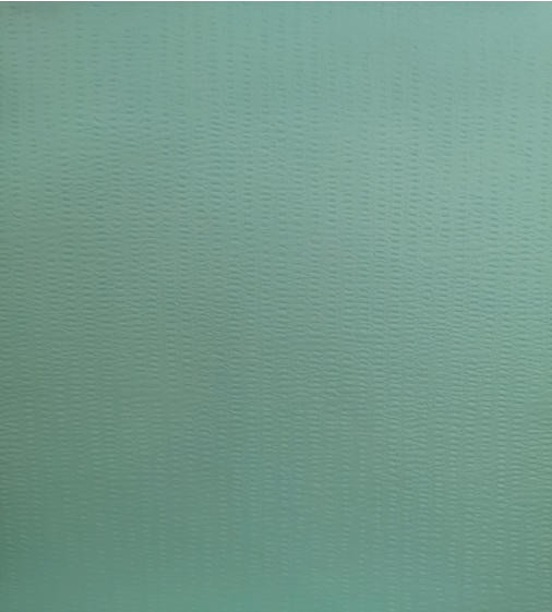 Spunlace Woodpulp/PET