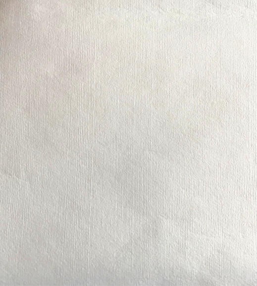 Spunlace Woodpulp/Viscose