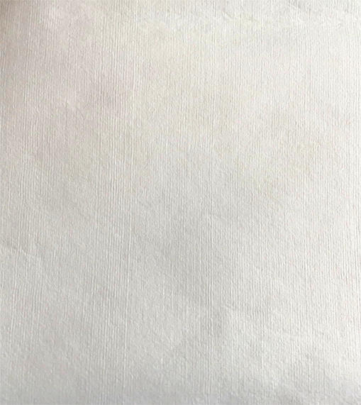 Spunlace Non woven Fabric for Wet wipes