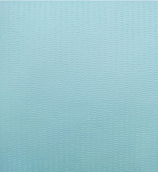 Woodpulp Spunlace Nonwoven Fabric